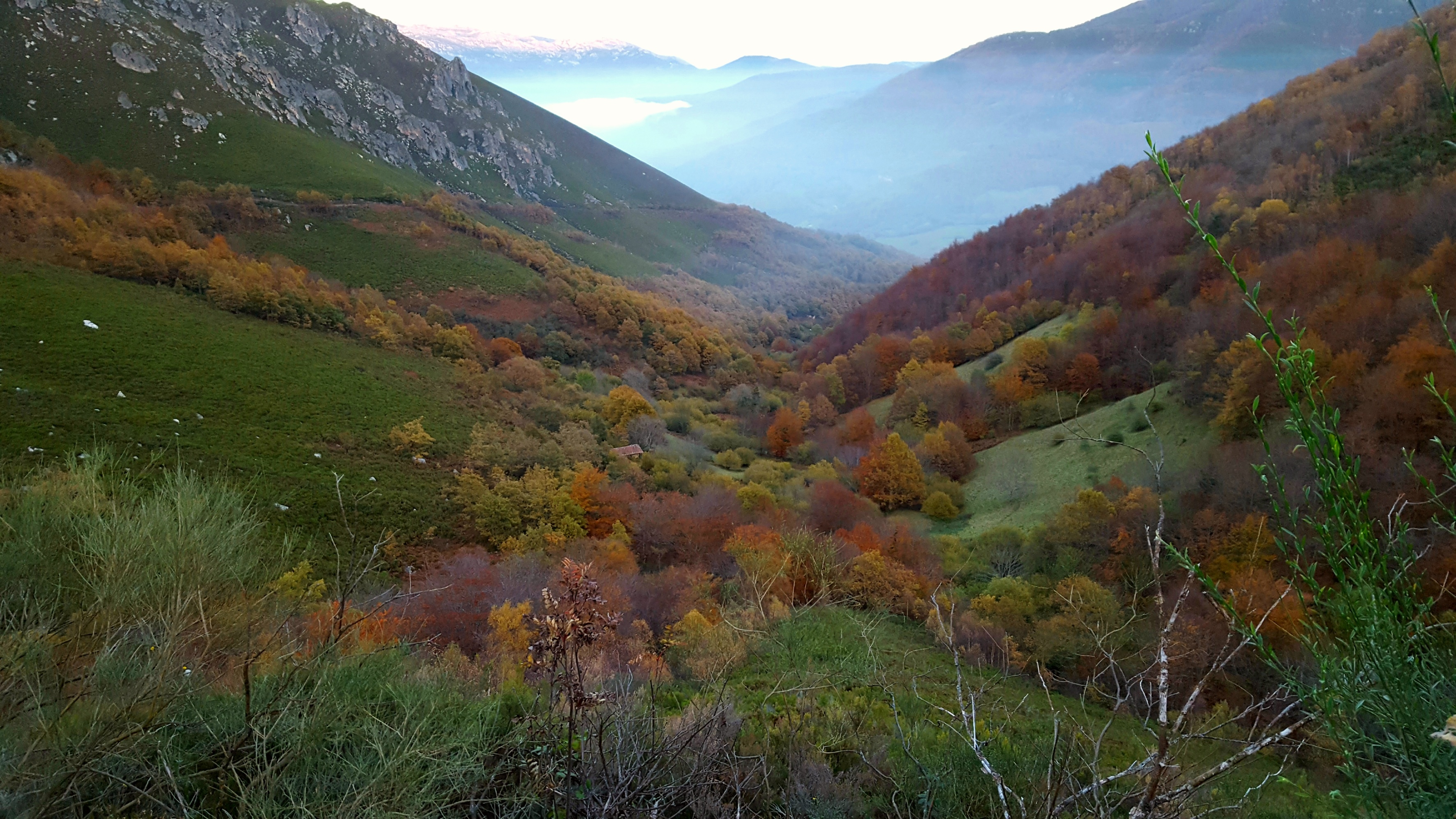 Imágenes de otoño